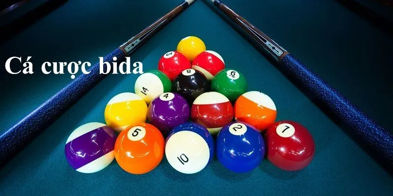 cá cược bida là gì
